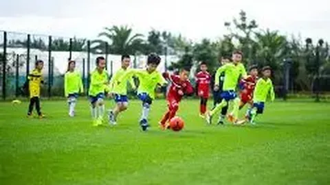 必赢官方网站入口 产品 094647 79x