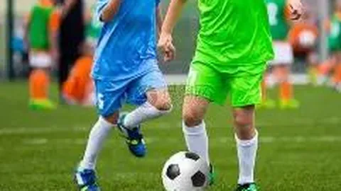 必赢官方网站入口 资讯 105259 294