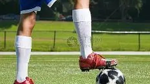 必赢官方网站入口 产品 105926 c09